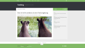WordPress Theme Hueman