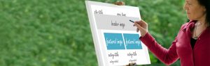 Internetkurse Köln Webdesign Angebote