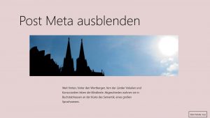 WordPress Post Meta ausblenden auf Beitragsseite im Theme Twenty Twenty-One
